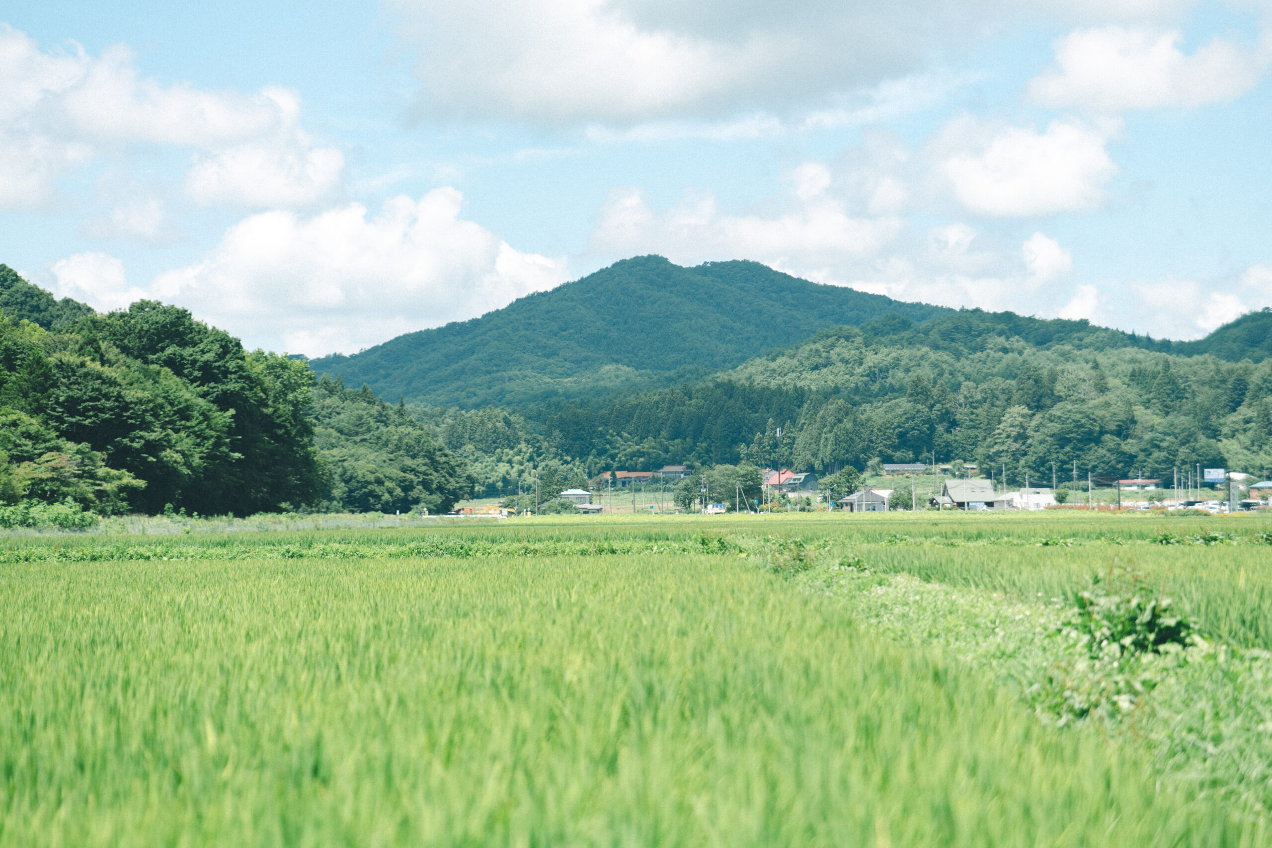 水田が広がる飯舘村の景色