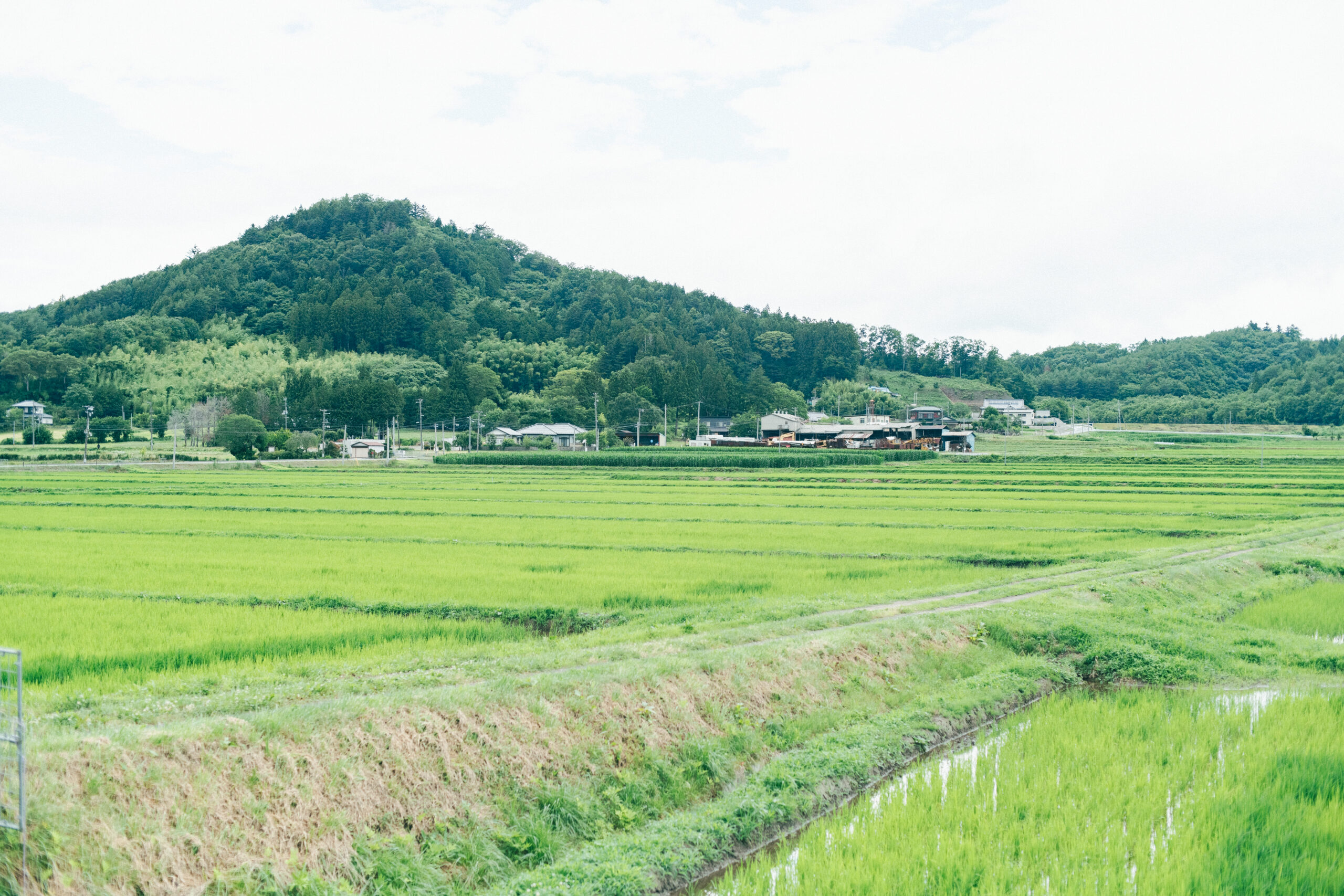 自然に囲まれた美しい里山の景色