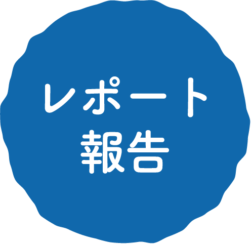 レポート報告